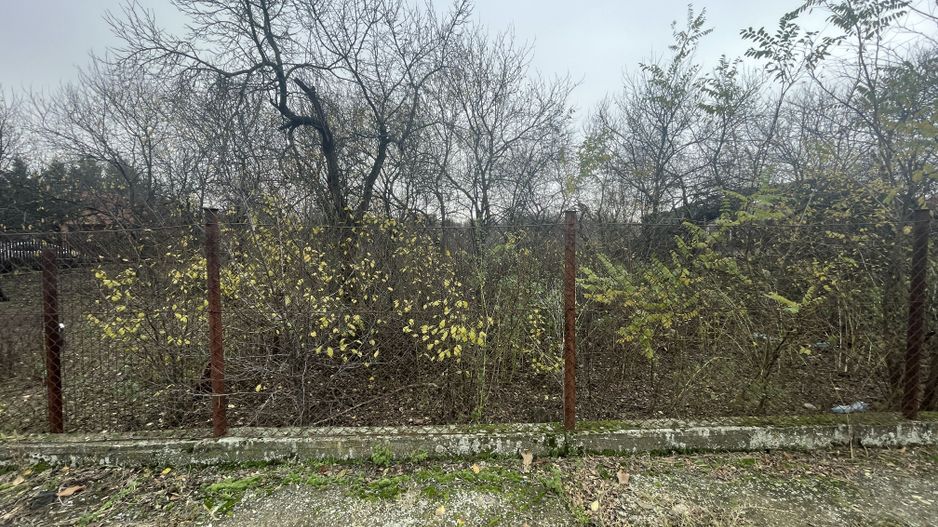 Teren in suprafata de 2165 mp cu front de 30 ml - Poză 7