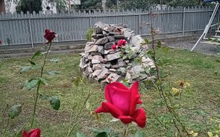Casa  P+1 - Sat Costi - Poză 5