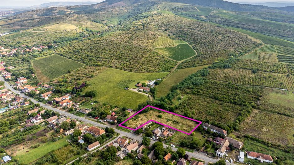 Teren de vis în Ghioroc! Stațiunea supranumită ”Litoralul Vestului” - Poză 3