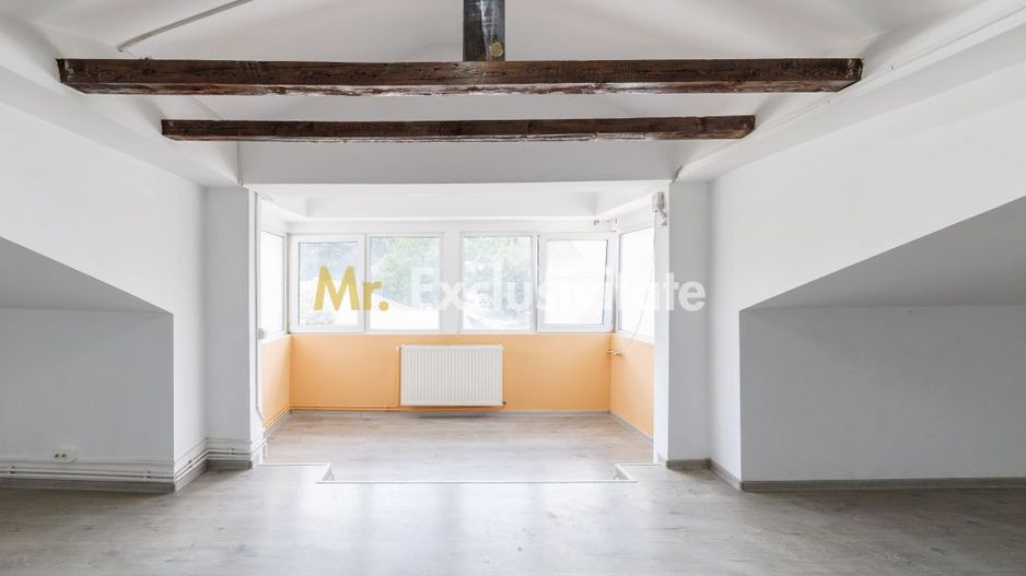 Spatiu Comercial - Ultracentral - Armand Calinescu, Pitesti! - Poză 6