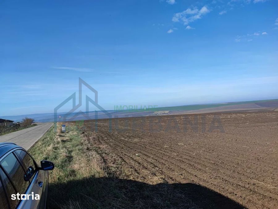 Teren de vânzare în Rediu-Horlești, 7850 mp, cu deschidere la DJ 248b, parcelabil - Poză 7