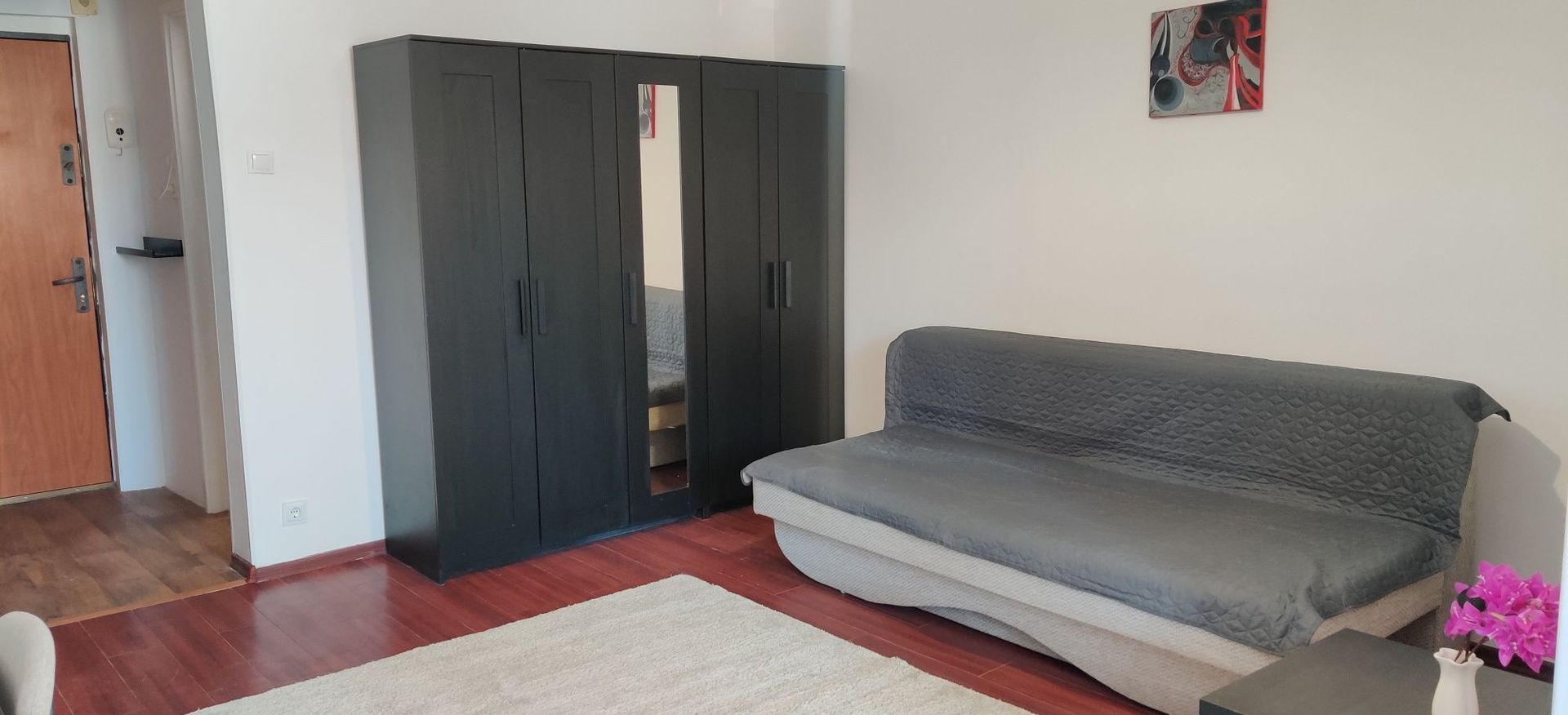 Garsonieră modernă, renovată – Zona Dristor / Park Lake - Poză 3