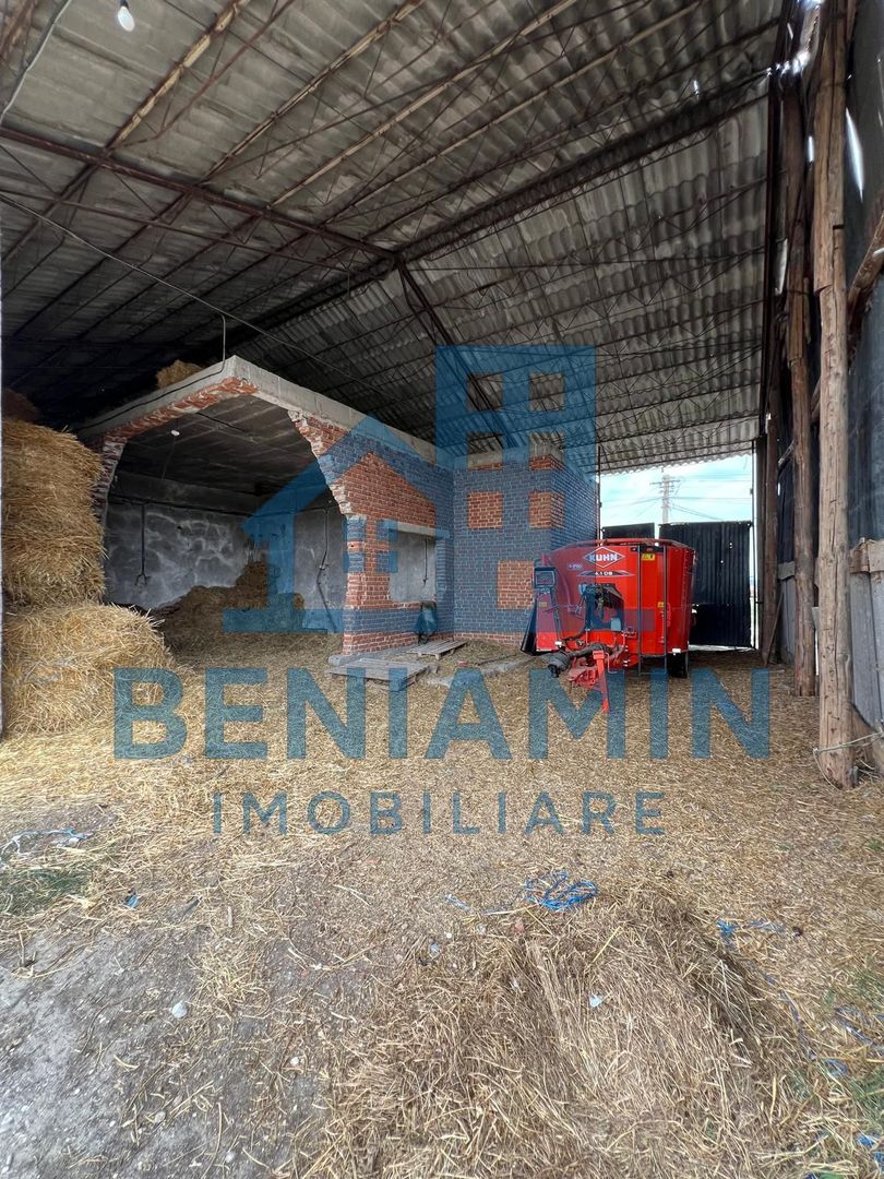 60.000mp Ferma de bovine, păsări, porcine, culturi agricole Diverse - Poză 5