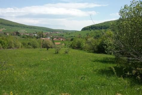 teren intravilan Valcele judet Covasna - Poză 4