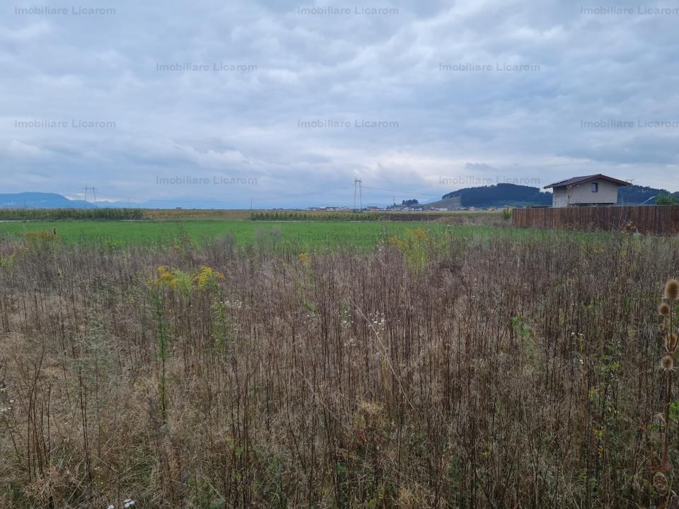 De vanzare teren  502 mp Harman Aleea 14 pret 32000 euro - Poză 4