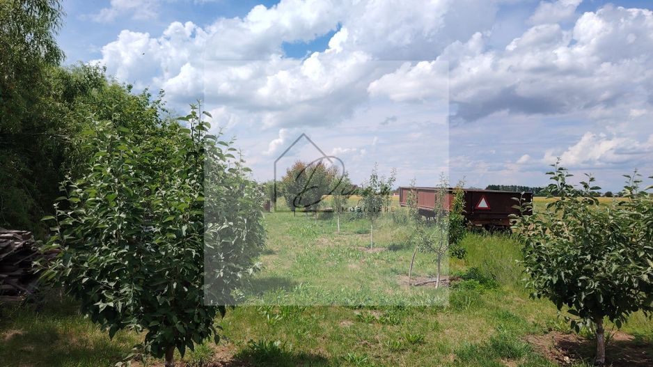 Casa Ciocanesti Cretu - 2 camere cu teren 2539 mp  - Jud. Dambovita - Poză 34