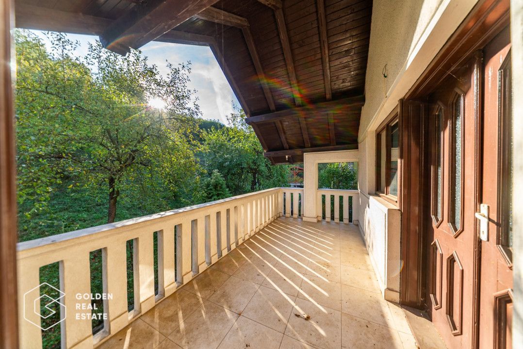 Casa de vacanta, localitatea Cladova, ideal pozitionata - Poză 19