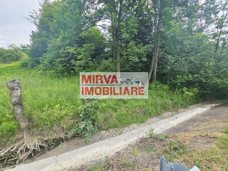 Teren intravilan lângă pădure – 1659 mp,  C.U. P+2E, Vărbilău - Poză 10