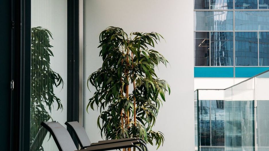 Apartament de Lux / One Floreasca Tower - Poză 10