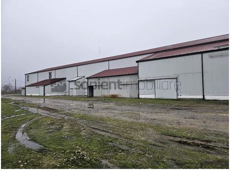 Proprietate industrială  Platformă logistică de vânzare în Tinca - Poză 4