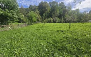Oportunitate de investiție în Breaza – teren intravilan de 3.591 mp - Poză 3