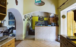 Casă cu livadă de pomi în Dorobanți - Poză 6