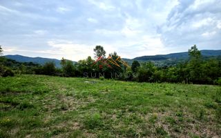 Teren Intravilan, utilitati in zona, 2600 mp, Draganeasa, Prahova - Poză 5