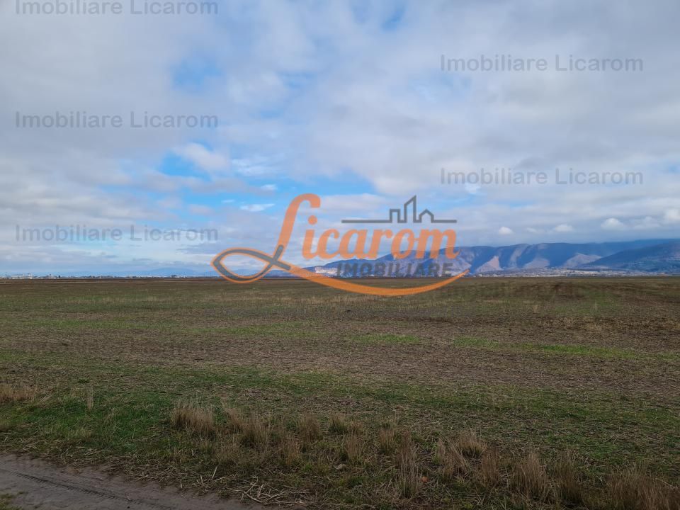 Teren extravilan 2,9 HA,intre Cristian si Vulcan - Poză 5