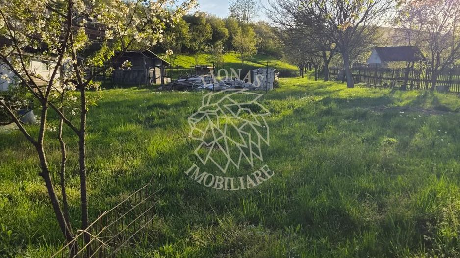 Teren intravilan 1997 mp-Parcelabil-ideal casa-Ghinda - Poză 2