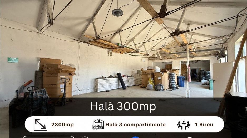 Halã de vânzare - Poză 1