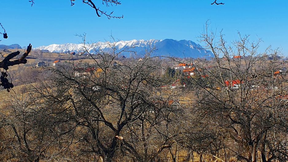 Bran-Sohodol, casă bătrânească cu utilități și teren 4039mp, comision zero. - Poză 5