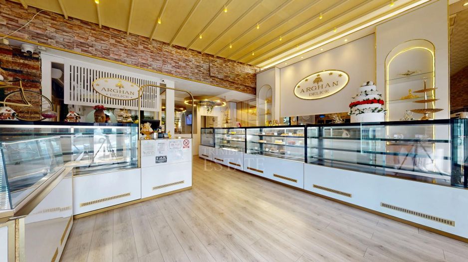 Spatiu comercial cu teren Arcul de Triumf - Poză 5