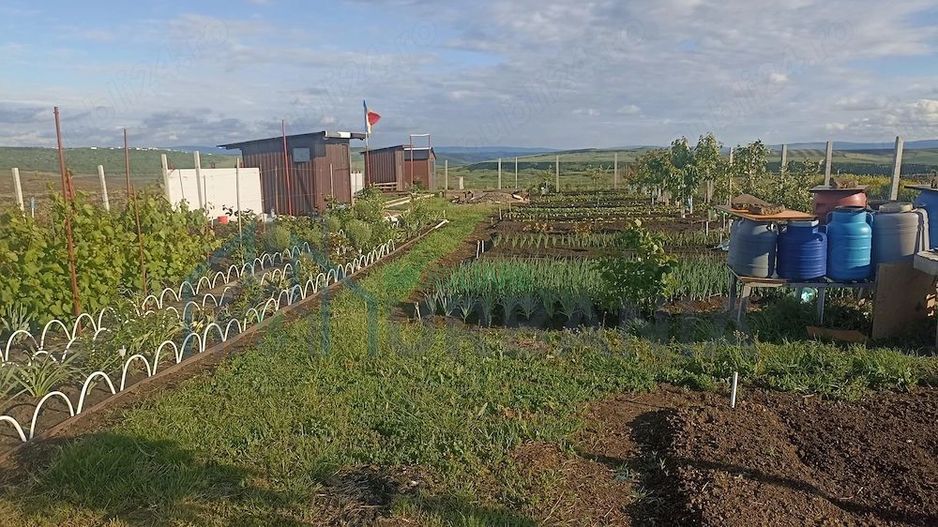 Teren Intravilan 470 mp   Horlești, Comuna Rediu (Proprietar) - Poză 6