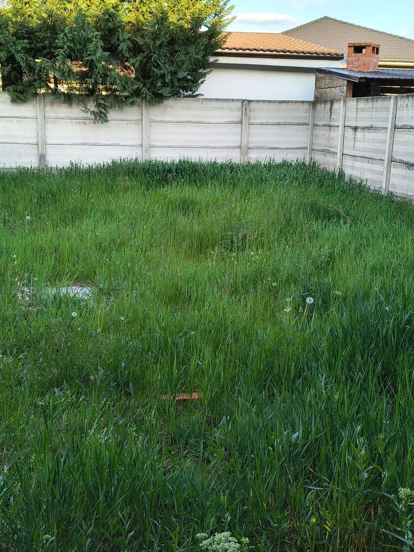 Casa in localitatea Nojorid - Poză 6