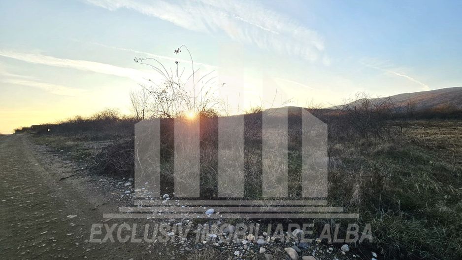 Teren intravilan de vanzare, Podei - Poză 3