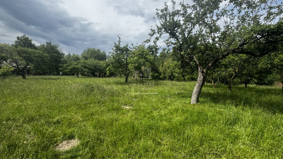 TEREN INTRAVILAN 4600 MP, VOINESTI, LERESTI, ARGEȘ - Poză 6