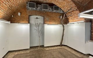 Spatiu comercial în Piața Unirii - 155 mp - Poză 16