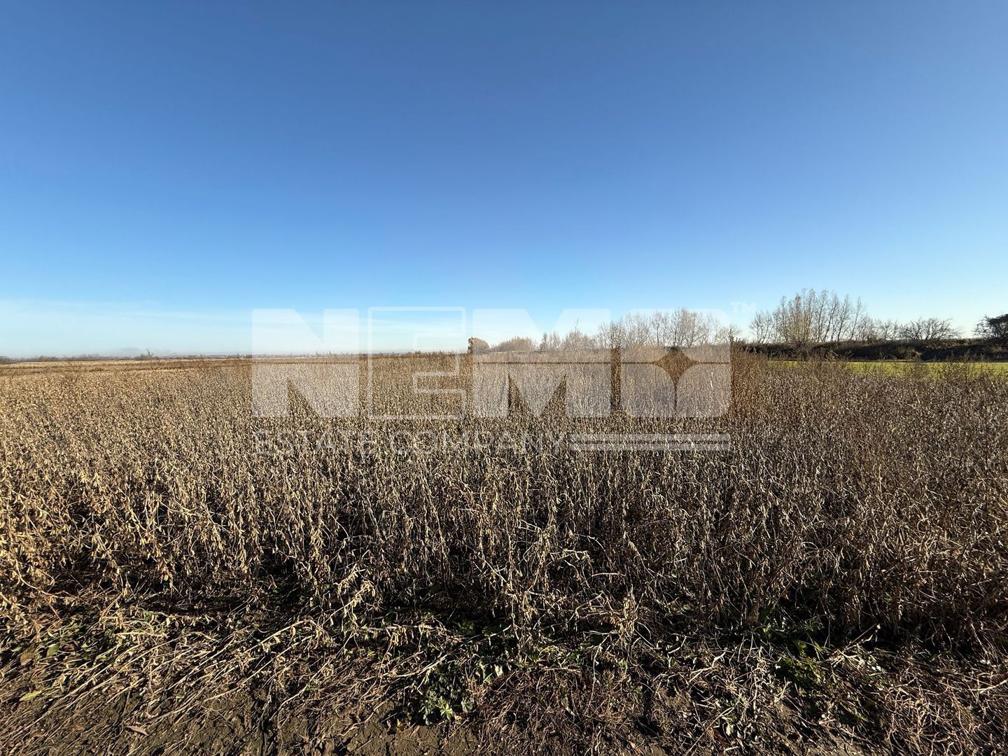 TEREN EXTRAVILAN | 35 ARI | HORODNIC DE JOS | - Poză 1