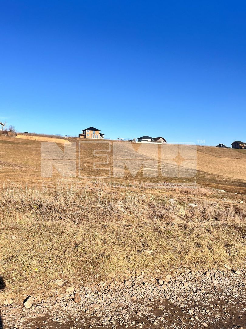 Teren I Suceava I Moara Nica I 2500 Mp I 54.900 Euro - Poză 1