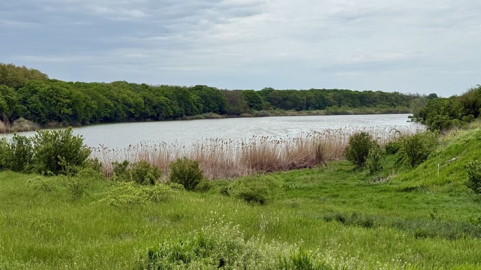 Teren intravilan de 1000 mp în Grădiștea, Ilfov – ideal pentru casa ta - Poză 6