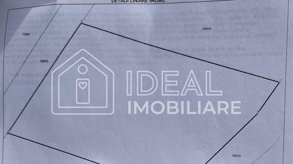 Teren extravilan 868 mp, Cârțișoara - Poză 7