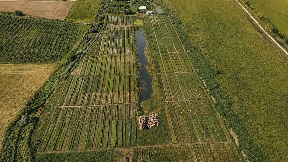 Teren agricol de vânzare – 6,8 hectare cu lac propriu și casă, Nisporeni - Poză 1