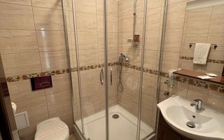 Vila de vanzare in zona Centrala/Orasul de jos - Poză 38