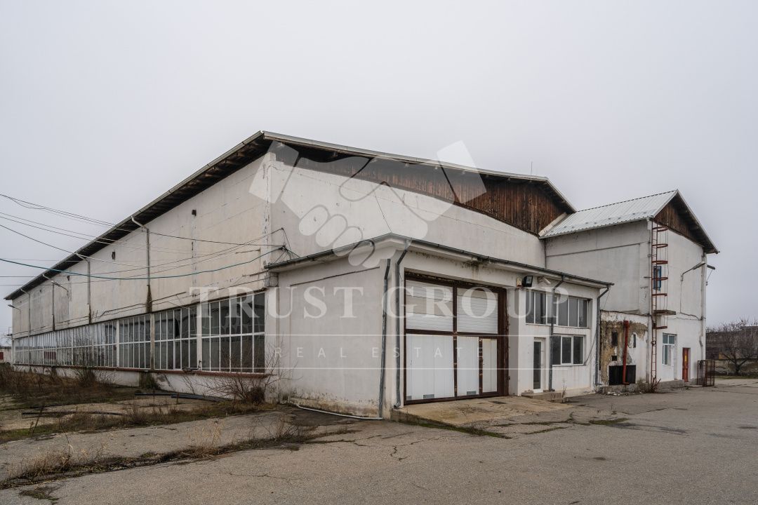 Teren 28.788m + Hale industriale + Sediu Firma - Poză 20