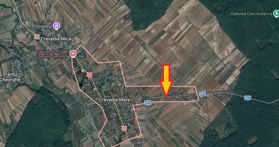 Crevedia Mare, Jud. Giurgiu, teren 5000 mp, deschidere 20 m la DJ 601 - Poză 2