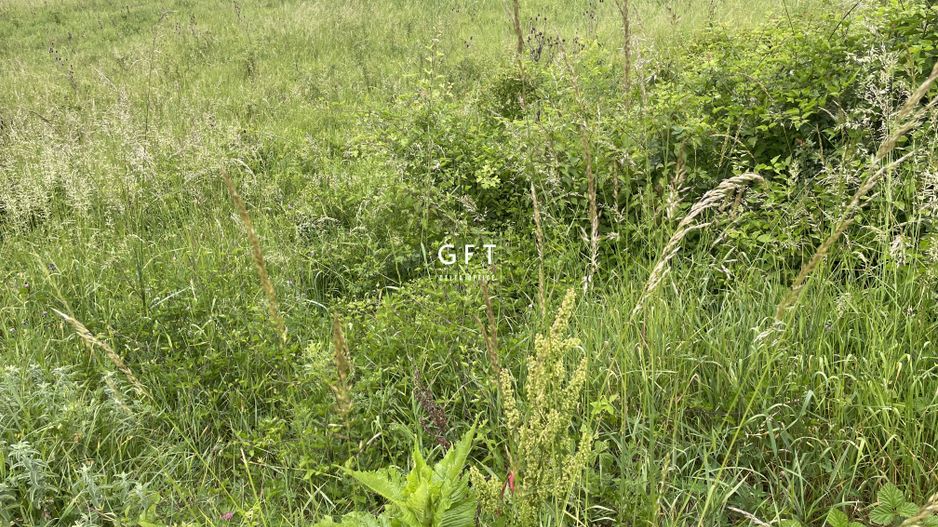 Super Oferta. Teren intravilan, Viisoara. - Poză 6