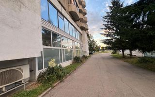 Spațiu comercial 820 mp de închiriat – Calea Aradului - Poză 8