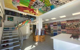 Spatiu comercial stradal 567 mp, Pache Protopopescu - Poză 3