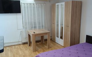Apartament 1 camera Sagului etaj 1 - Poză 1