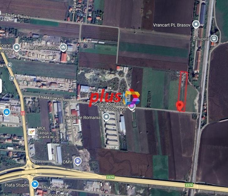 Teren in Stupini 14400mp - Poză 1