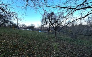 Teren Intravilan cu 2 Deschideri 4000mp Predelut-Bran | GOPO - Poză 8