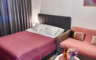 Inchiriere Garsoniera Dristor - Poză 2