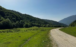 2 Loturi a 2124+2744mp Barsa Fierului / Plaiul Foii - Poză 7