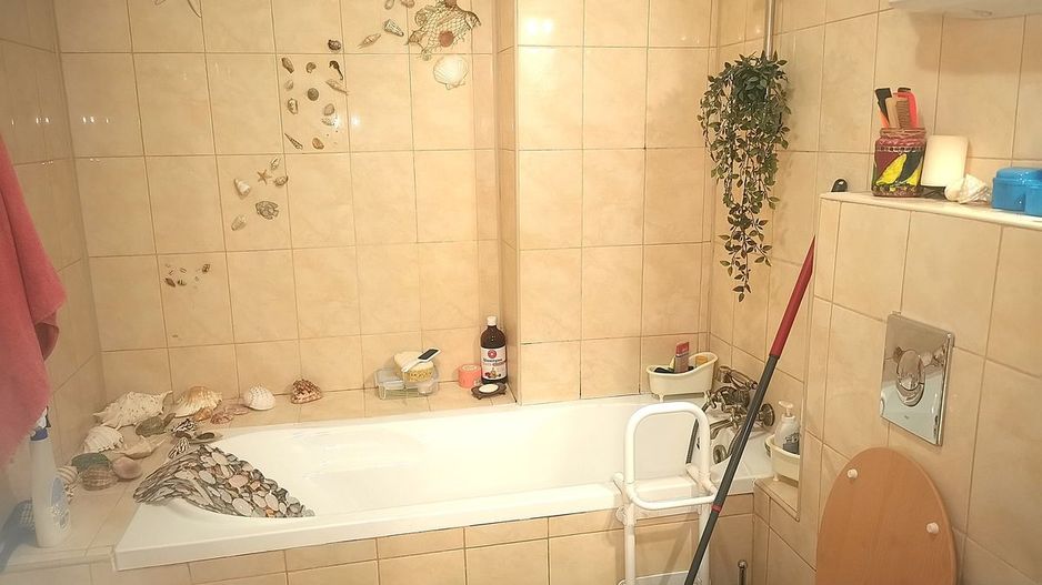 Apartament Plevnei / Orhideea - Poză 8