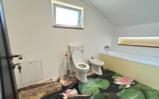 Casă individuală 4 camere de vânzare | Șura Mare | 344 mp - Poză 20