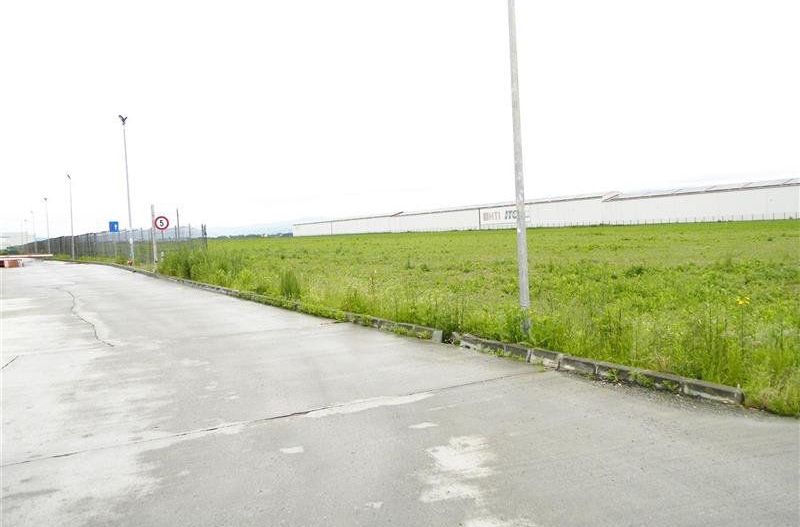 Teren pentru hale-Ghimbav-Joysonquin - Poză 7