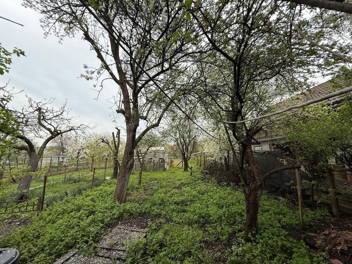 Vand casa in Sancraiu de Mures , situat in Sancraiu de Mures - Poză 7