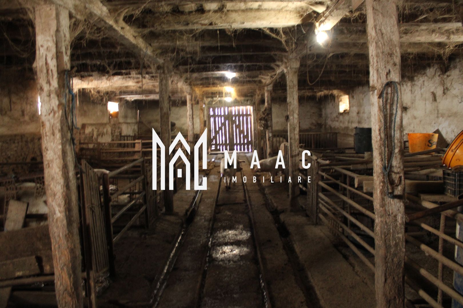 Ferma de Vânzare – Oportunitate Unică! - Poză 8