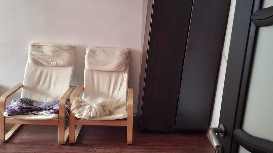 Vanzare Garsoniera Adiacent Nerva Traian - Ideal Investitie - Poză 2