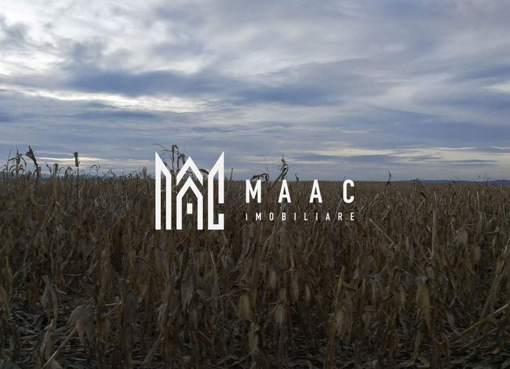 Teren intravilan I Zona Calea Surii Mici- Magnolia - Poză 1